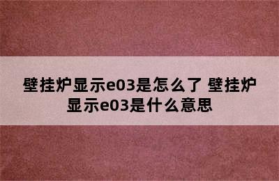 壁挂炉显示e03是怎么了 壁挂炉显示e03是什么意思